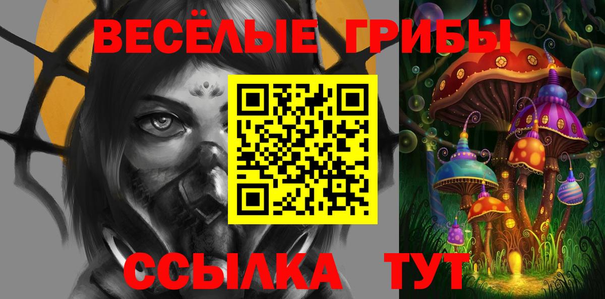 Галлюциногенные грибы Psilocybe  Вход с VPN  Волоколамск 